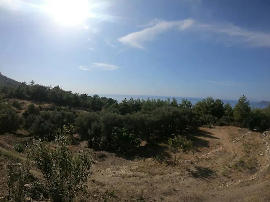 Calista Bungalow Sea And Nature Views Fethiye Chalet